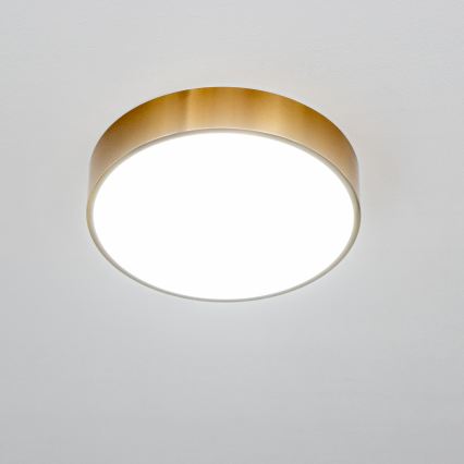 Brilagi - Plafon LED para casa de banho POOL LED/24W/230V 3000/4000/5500K Ø 30 cm IP54 bronze