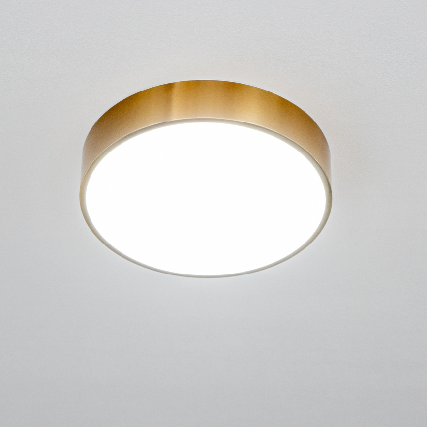Brilagi - Plafon LED para casa de banho POOL LED/24W/230V 3000/4000/5500K Ø 30 cm IP54 bronze