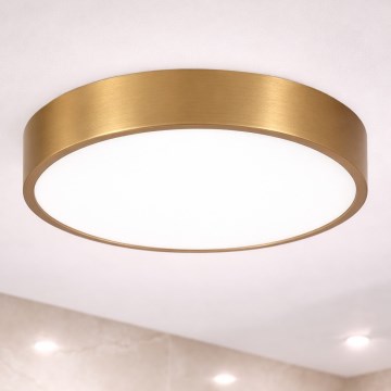 Brilagi - Plafon LED para casa de banho POOL LED/36W/230V 3000/4000/5500K Ø 40 cm IP54 bronze