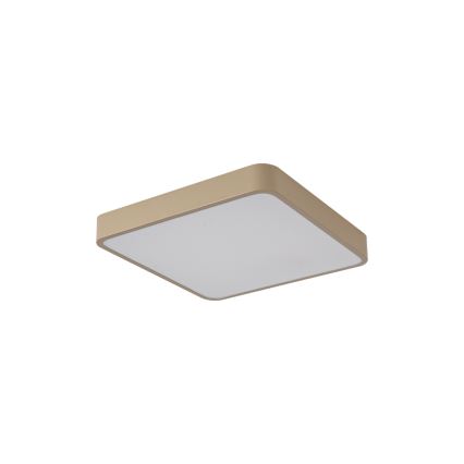 Brilagi - Plafon LED POOL LED/36W/230V 3000/4000/6000K 40x40 cm bege