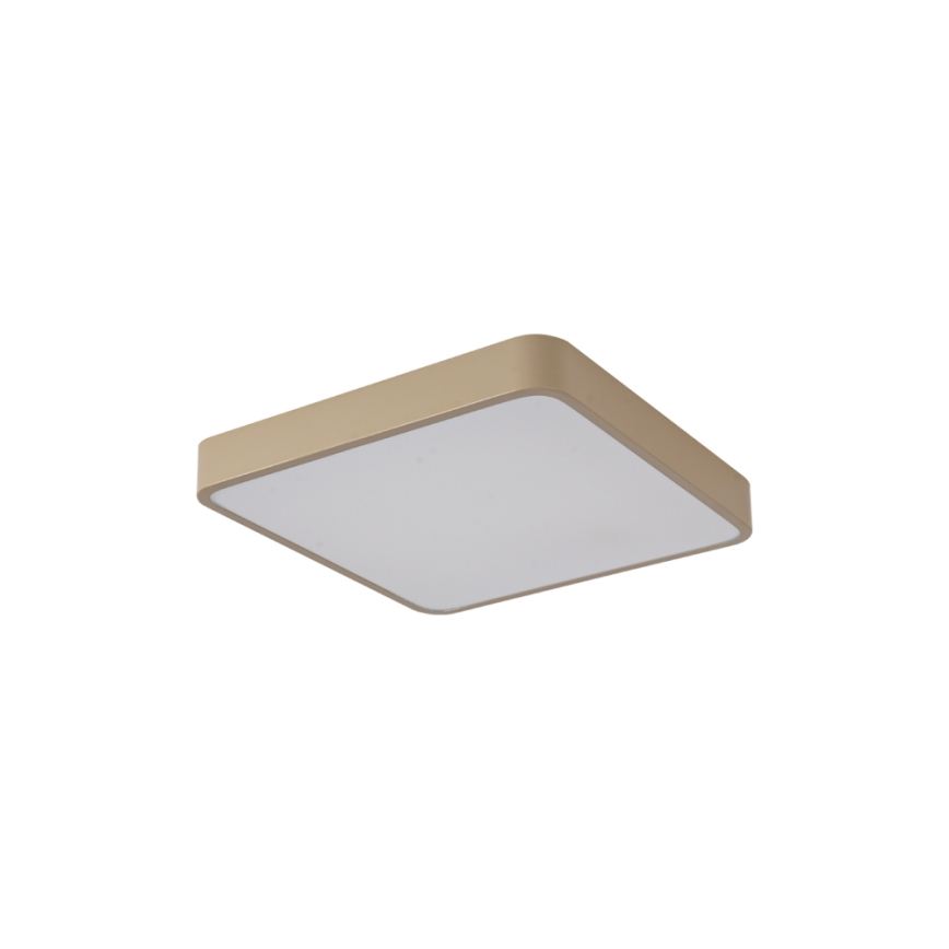 Brilagi - Plafon LED POOL LED/36W/230V 3000/4000/6000K 40x40 cm bege