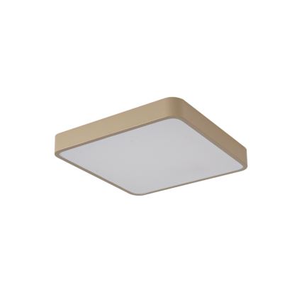 Brilagi - Plafon LED POOL LED/48W/230V 3000/4000/6000K 50x50 cm bege