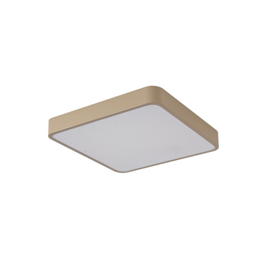 Brilagi - Plafon LED POOL LED/48W/230V 3000/4000/6000K 50x50 cm bege