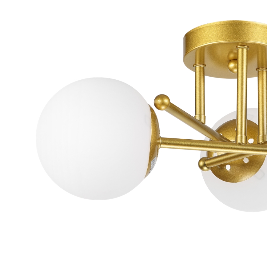 Brilagi - Plafon MALIVA 3xE14/15W/230V dourado/branco