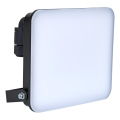 BRILAGI - Refletor LED ELARA PRO LED/50W/230V IP65