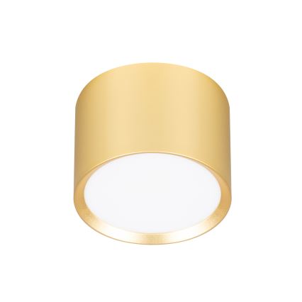 BRILAGI - Spot LED RGB+CCT dimerizável SMOOTH 1xGX53/14W/230V 60x82 mm 2700-6500K Wi-Fi Tuya dourado