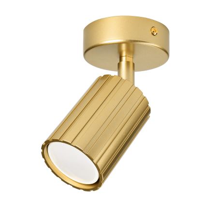 Brilagi - Spot direcionável CRISPINA 1xGU10/10W/230V dourado