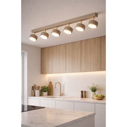 Brilagi - Spot LED MONO 6xGX53/30W/230V bege/dourado