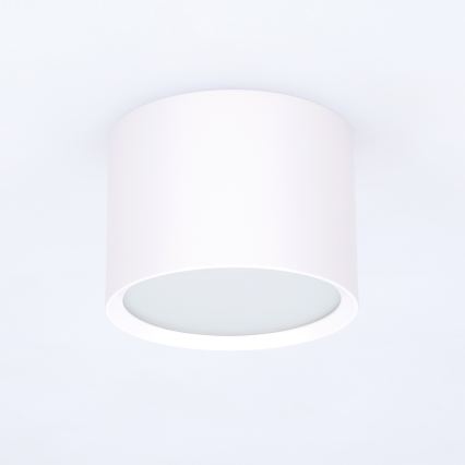 BRILAGI - Spot para casa de banho SMOOTH 1xGX53/15W/230V 60x82 mm branco IP54