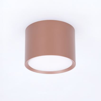 BRILAGI - Spot SMOOTH 1xGX53/15W/230V 60x82 mm castanho