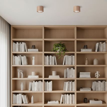 Brilagi - Spot STRIPY 1xGX53/15W/230V bege