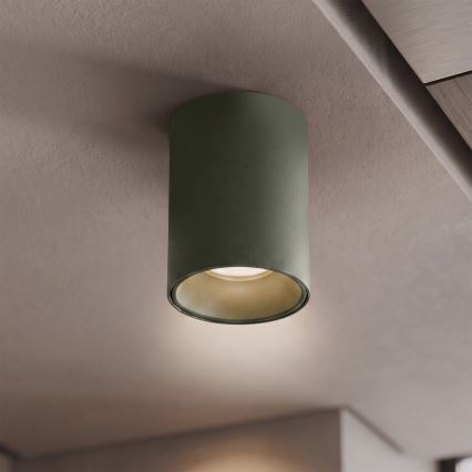 BRILAGI - Spot TRINE 1xGU10/30W/230V verde escuro