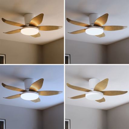 Brilagi - Ventilador de tecto com LED regulável LED/32W/230V 3000-6500K Ø95 cm branco/castanho + comando remoto