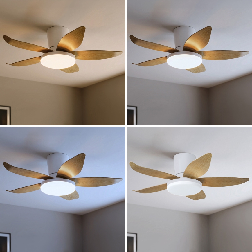 Brilagi - Ventilador de tecto com LED regulável LED/32W/230V 3000-6500K Ø95 cm branco/castanho + comando remoto