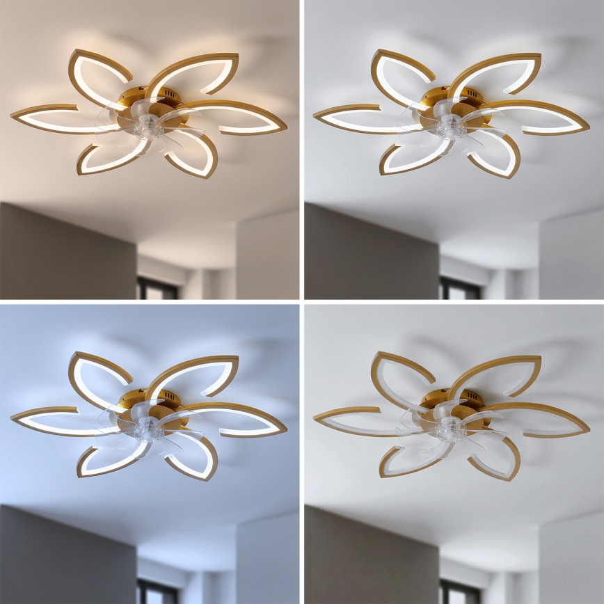 Brilagi - Ventilador de teto com luz LED regulável 34W/230V 3000-6500K Ø 78 cm dourado + controlo remoto
