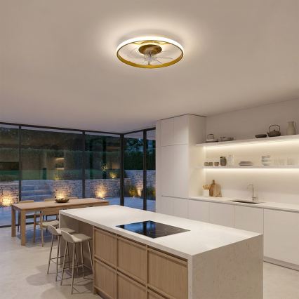 Brilagi - Ventilador de teto dimerizável com LED/66W/230V 3000-6500K Ø 55 cm branco/dourado + comando remoto
