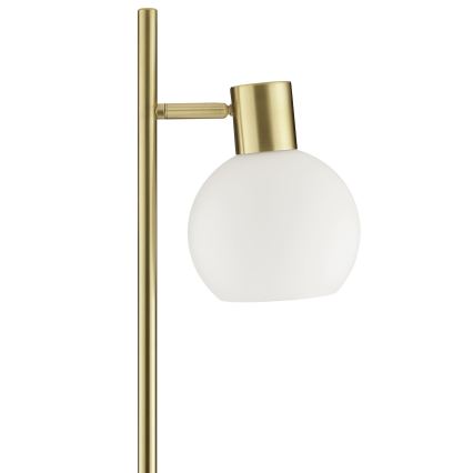 Brilliant - Candeeiro de pé CONY 1xE14/20W/230V latão