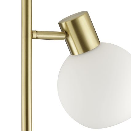 Brilliant - Candeeiro de pé CONY 1xE14/20W/230V latão