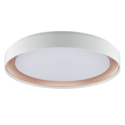 Brilliant - Luminária de teto LED dimerizável WALDO LED/36W/230V 3000-6500K Ø 48,5 cm branco/ouro rosé + controlo remoto