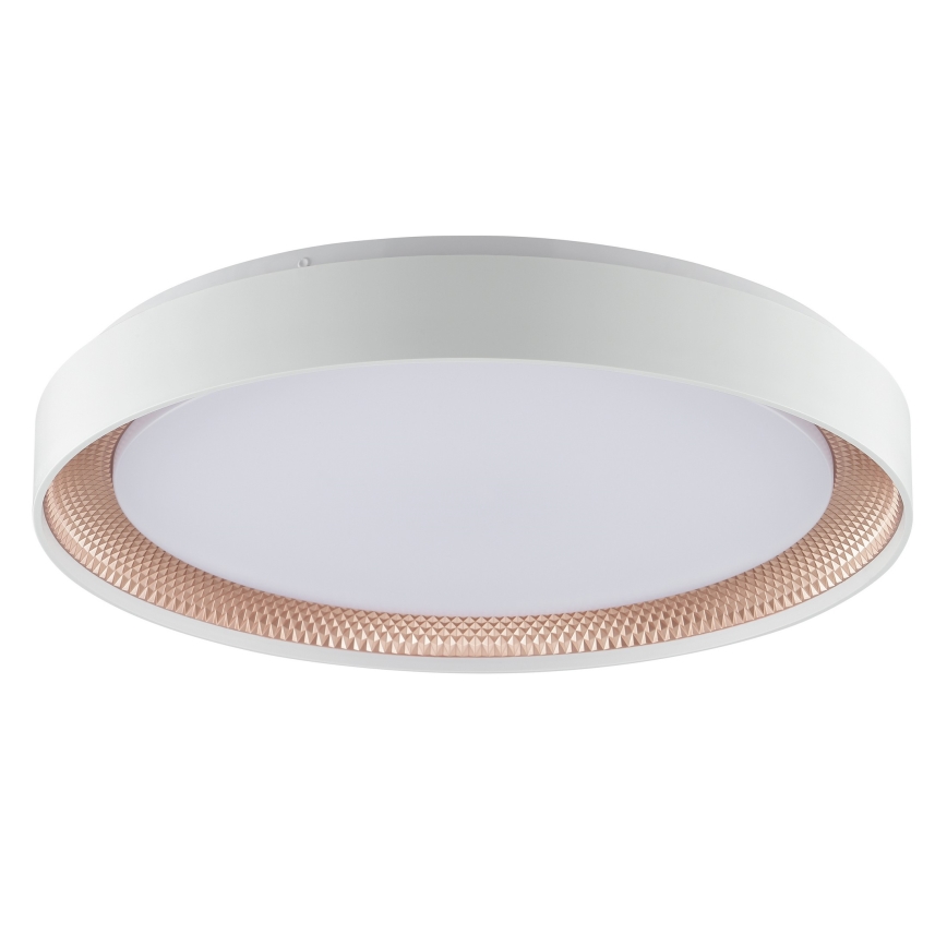 Brilliant - Luminária de teto LED dimerizável WALDO LED/36W/230V 3000-6500K Ø 48,5 cm branco/ouro rosé + controlo remoto