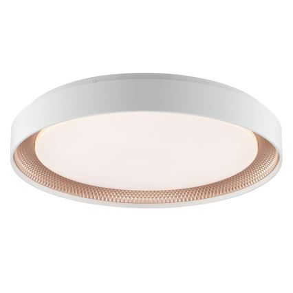 Brilliant - Luminária de teto LED dimerizável WALDO LED/36W/230V 3000-6500K Ø 48,5 cm branco/ouro rosé + controlo remoto