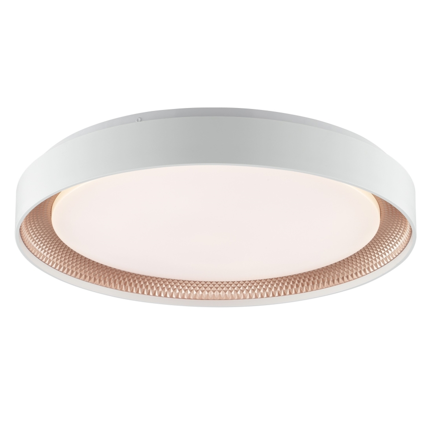 Brilliant - Luminária de teto LED dimerizável WALDO LED/36W/230V 3000-6500K Ø 48,5 cm branco/ouro rosé + controlo remoto