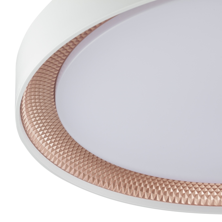 Brilliant - Luminária de teto LED dimerizável WALDO LED/36W/230V 3000-6500K Ø 48,5 cm branco/ouro rosé + controlo remoto