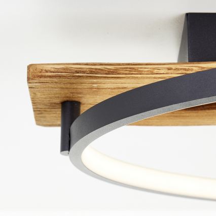 Brilliant - Candeeiro de tecto LED dimerizável PIRUS LED/30W/230V 30x70 cm seringueira