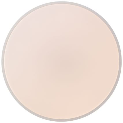 Brilliant - Luminária de teto LED dimerizável SLIMLINE LED/60W/230V 3000-6500K Ø 49 cm branca + comando remoto