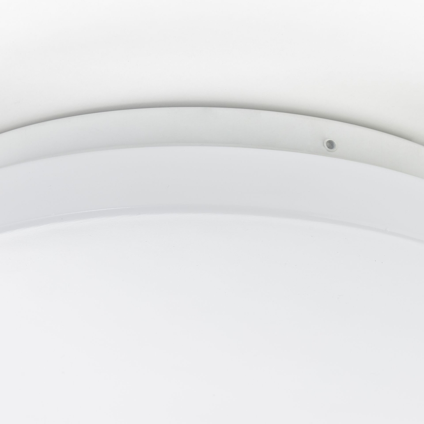 Brilliant - Candeeiro de tecto LED FARICA LED/12W/230V Ø 26 cm branco