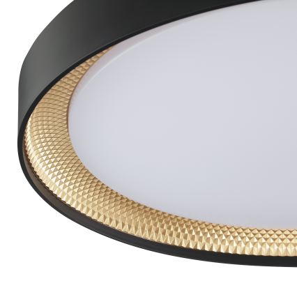 Brilliant - Luminária de teto LED dimerizável WALDO LED/36W/230V 3000-6500K Ø 48,5 cm preta/dourada + comando remoto