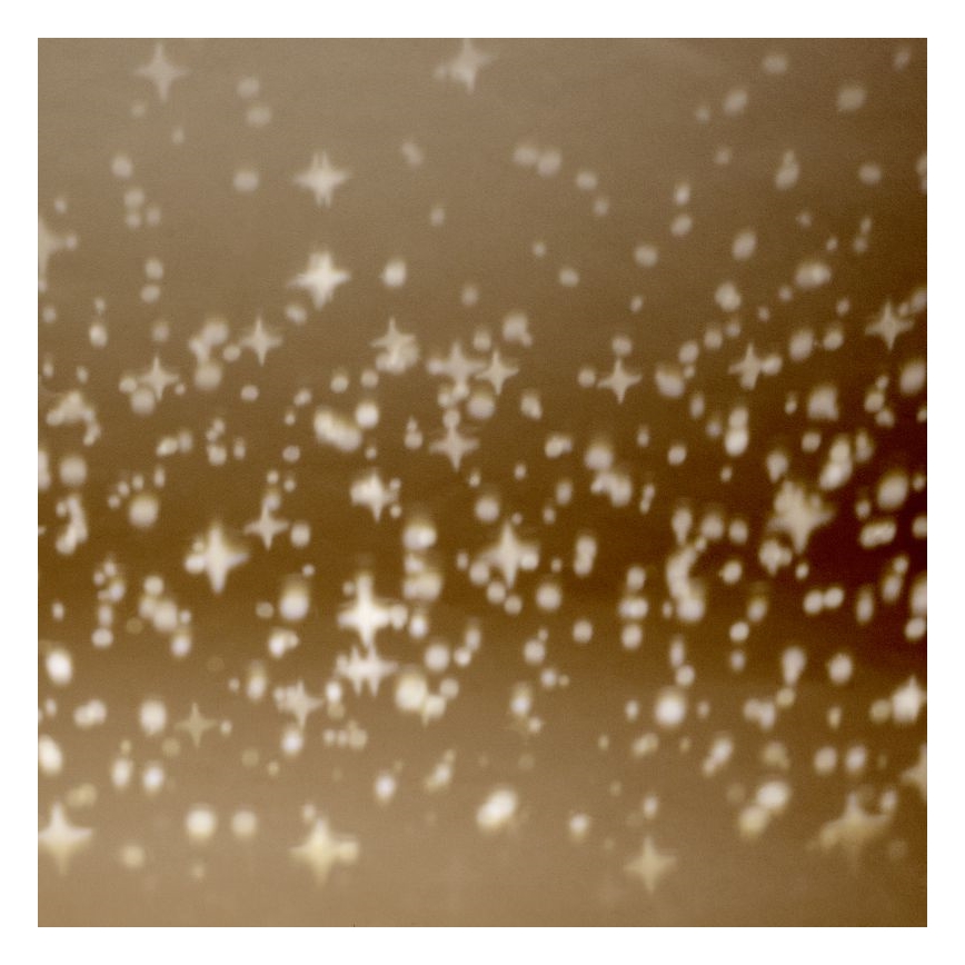 Brilliant - Iluminação de teto LED com regulação BASKA LED/12W/230V diâmetro 38 cm 3000K