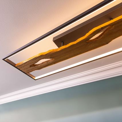 Brilliant - Iluminação de teto LED com regulação CHAUMONT LED/48W/230V borracha de figueira