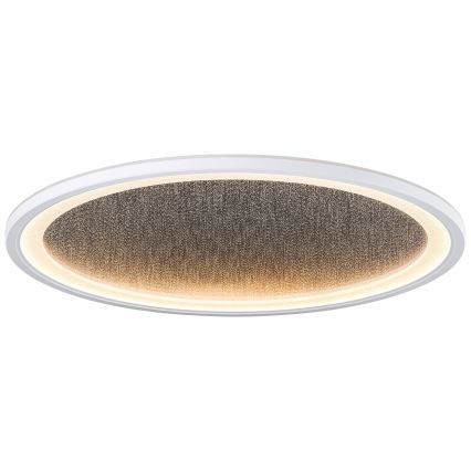 Brilliant - Iluminação de teto LED com regulação TANIDA LED/31W/230V 3000-6500K + comando