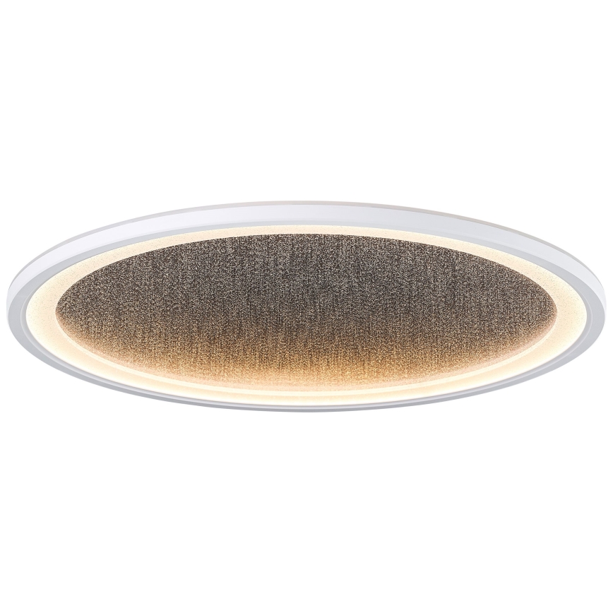 Brilliant - Iluminação de teto LED com regulação TANIDA LED/31W/230V 3000-6500K + comando