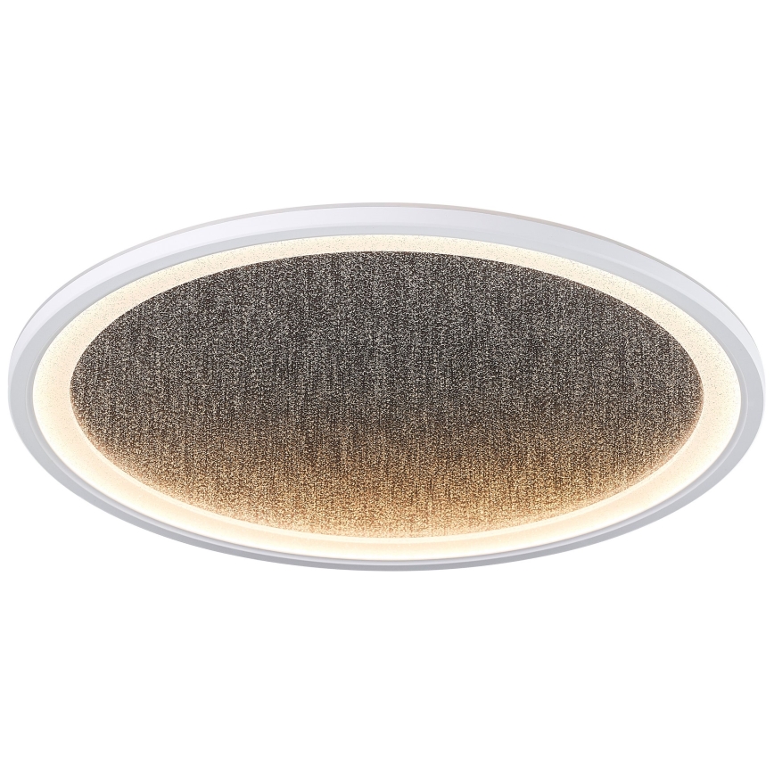 Brilliant - Iluminação de teto LED com regulação TANIDA LED/31W/230V 3000-6500K + comando