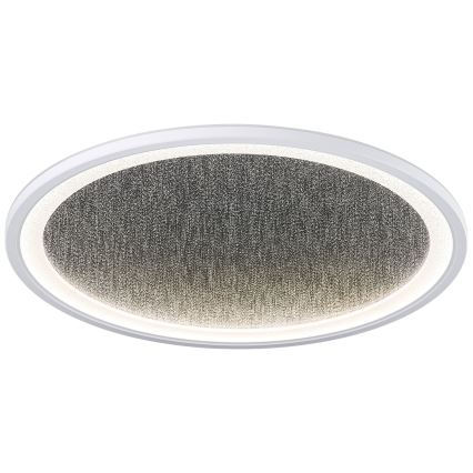 Brilliant - Iluminação de teto LED com regulação TANIDA LED/31W/230V 3000-6500K + comando