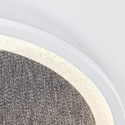 Brilliant - Iluminação de teto LED com regulação TANIDA LED/31W/230V 3000-6500K + comando