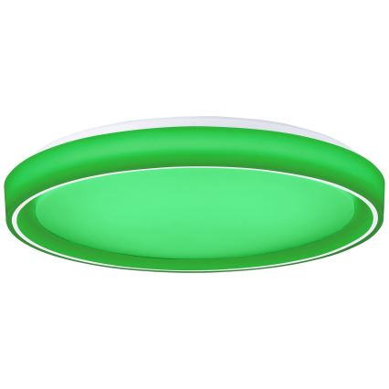Brilliant - Iluminação de teto LED RGBW com regulação FLOCO LED/34W/230V 3000-6500K diâmetro 49,5 cm branco + comando
