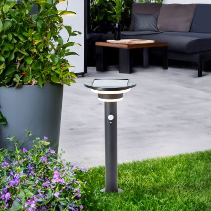 Brilliant - Lâmpada solar LED com sensor GARVINA LED/3W/3,7V 2000 mAh 45 cm IP44 preta