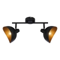 Brilliant - Luminária de focos LAYTON 2xE14/25W/230V preto/dourado