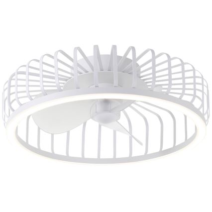 Brilliant - Luminária de teto LED dimerizável com ventilador CAPO LED/36W/230V 2700-6500K, diâmetro 48 cm, branca + comando remoto