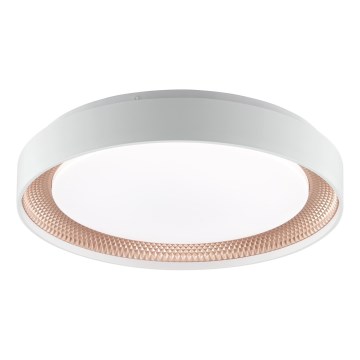 Brilliant - Luminária de teto LED dimerizável WALDO LED/24W/230V 3000-6500K Ø 38,5 cm branco/ouro rosé + controlo remoto