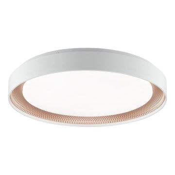Brilliant - Luminária de teto LED dimerizável WALDO LED/36W/230V 3000-6500K Ø 48,5 cm branco/ouro rosé + controlo remoto