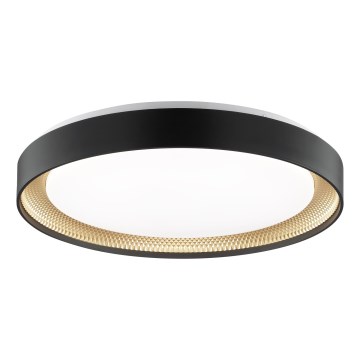 Brilliant - Luminária de teto LED dimerizável WALDO LED/36W/230V 3000-6500K Ø 48,5 cm preta/dourada + comando remoto