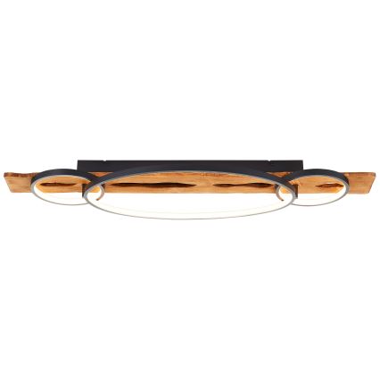 Brilliant - Candeeiro de tecto LED regulável PIRUS LED/40W/230V 30x90 cm gumovník