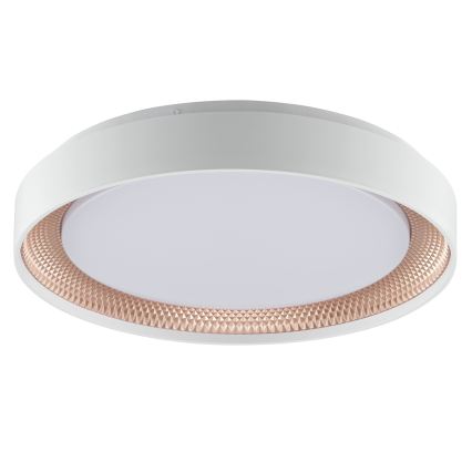 Brilliant - Luminária de teto LED dimerizável WALDO LED/24W/230V 3000-6500K Ø 38,5 cm branco/ouro rosé + controlo remoto