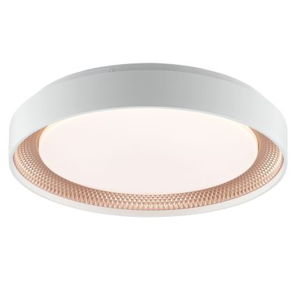 Brilliant - Luminária de teto LED dimerizável WALDO LED/24W/230V 3000-6500K Ø 38,5 cm branco/ouro rosé + controlo remoto