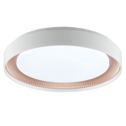 Brilliant - Luminária de teto LED dimerizável WALDO LED/24W/230V 3000-6500K Ø 38,5 cm branco/ouro rosé + controlo remoto