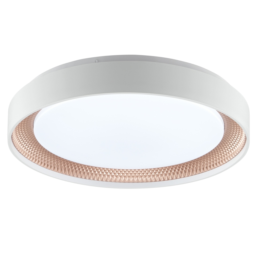 Brilliant - Luminária de teto LED dimerizável WALDO LED/24W/230V 3000-6500K Ø 38,5 cm branco/ouro rosé + controlo remoto